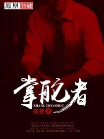 掌舵者软件挂机