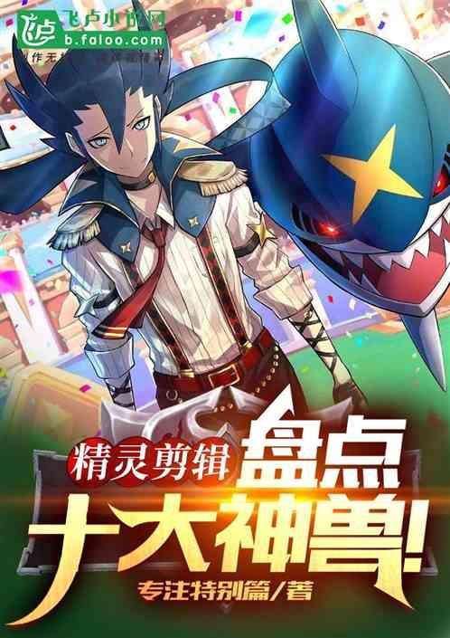 小智vs神兽都是多少集