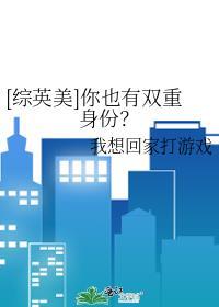综英美双丑